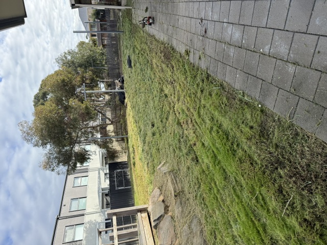 The same strip cut right back to a short even lawn along the path
