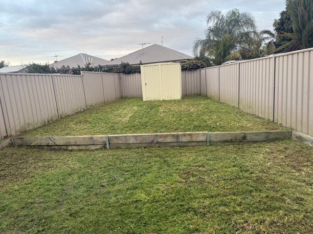 The same back yard mown flat and tidy from fence to fence