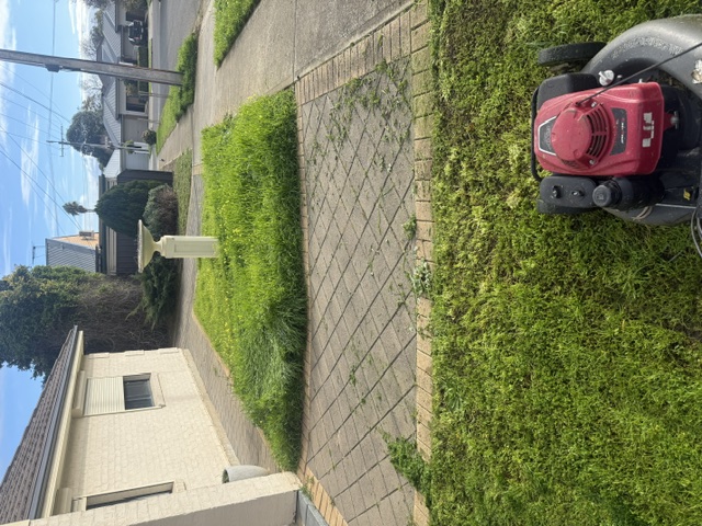 Overgrown front lawn and verge beside a cream brick house, with the mower ready to start
