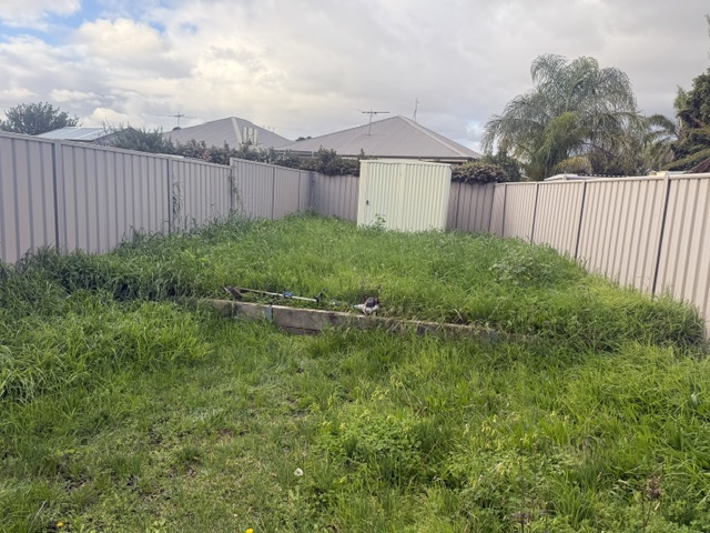 Back yard overgrown with long grass around a garden shed and sleeper edging